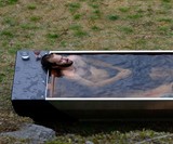 SOAK Wood-Fired Hot Tub