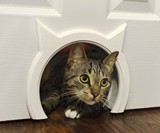 The Kitty Pass Interior Cat Door