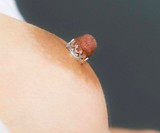 Crown Nipple Rings (NSFW)