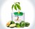 AvoSeedo - Grow an Avocado Tree