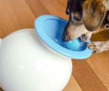 iFetch Automatic Ball Launcher