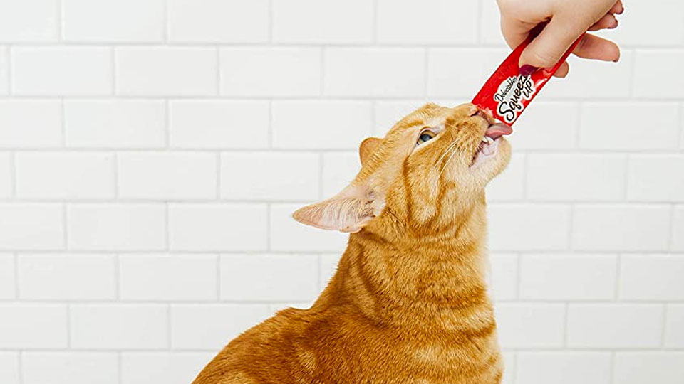 Delectables SqueezeUps - Go-Gurt for Cats Delectables SqueezeUps - Go-Gurt for Cats