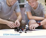 DIY Bionic Robot Lizard