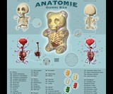 Anatomical Gummi Bear Poster