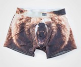 Grizzly Bear Underwear