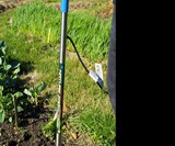NatureZap Weed Killer
