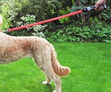 Star Wars Darth Vader Lightsaber Dog Leash