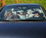 Star Wars Sunshade