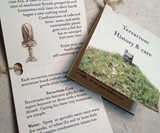 Beetlejuice Terrarium Care Instructions