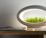 Grasslamp Modern Desktop Garden