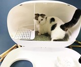 MS Modern Cat Litter Box