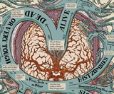 The Map of Zombies