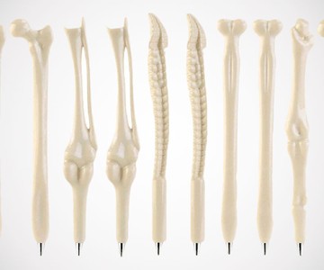Human Bones Ballpoint Pen Set Human Bones Ballpoint Pen Set