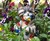 Cat Eating the Garden Gnomes Statue