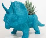 Triceratops Planter with Included Zebra Haworthia Succulent