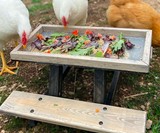 Chicknic Table - Chicken Picnic Table
