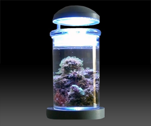 Desktop Saltwater Aquarium